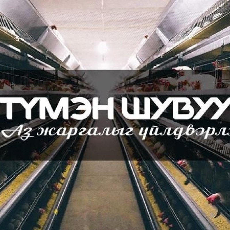 “Түмэн шувуут” ХК ногдол ашиг хуваарилна