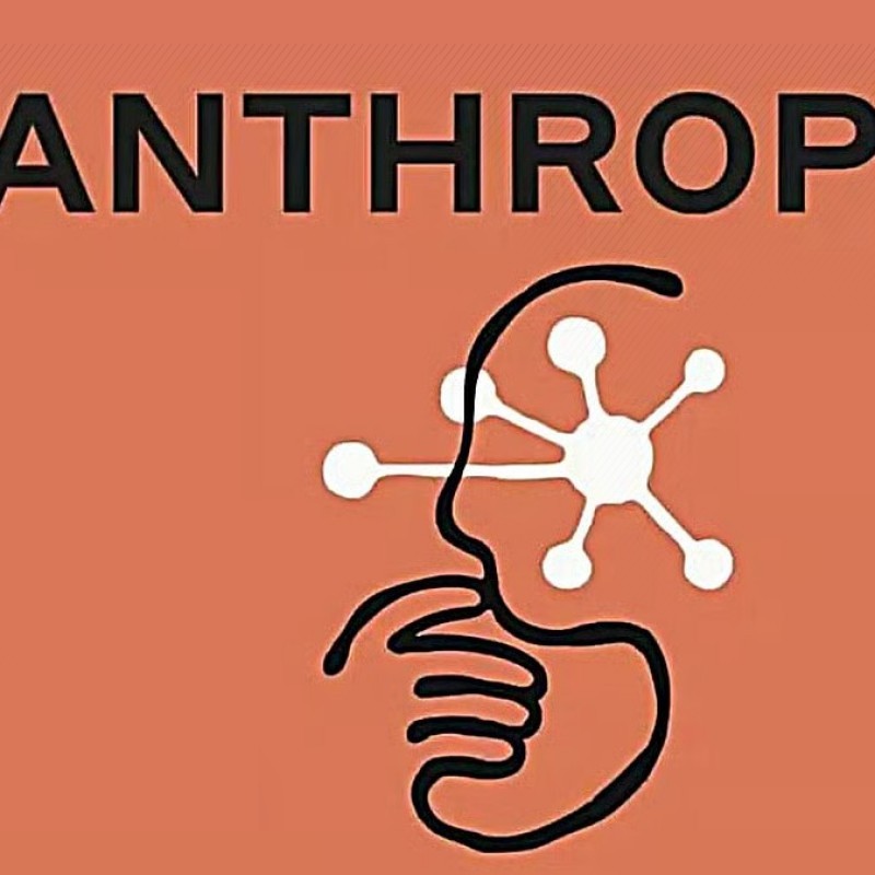 Anthropic-ийн орлого 14 дахин өсжээ